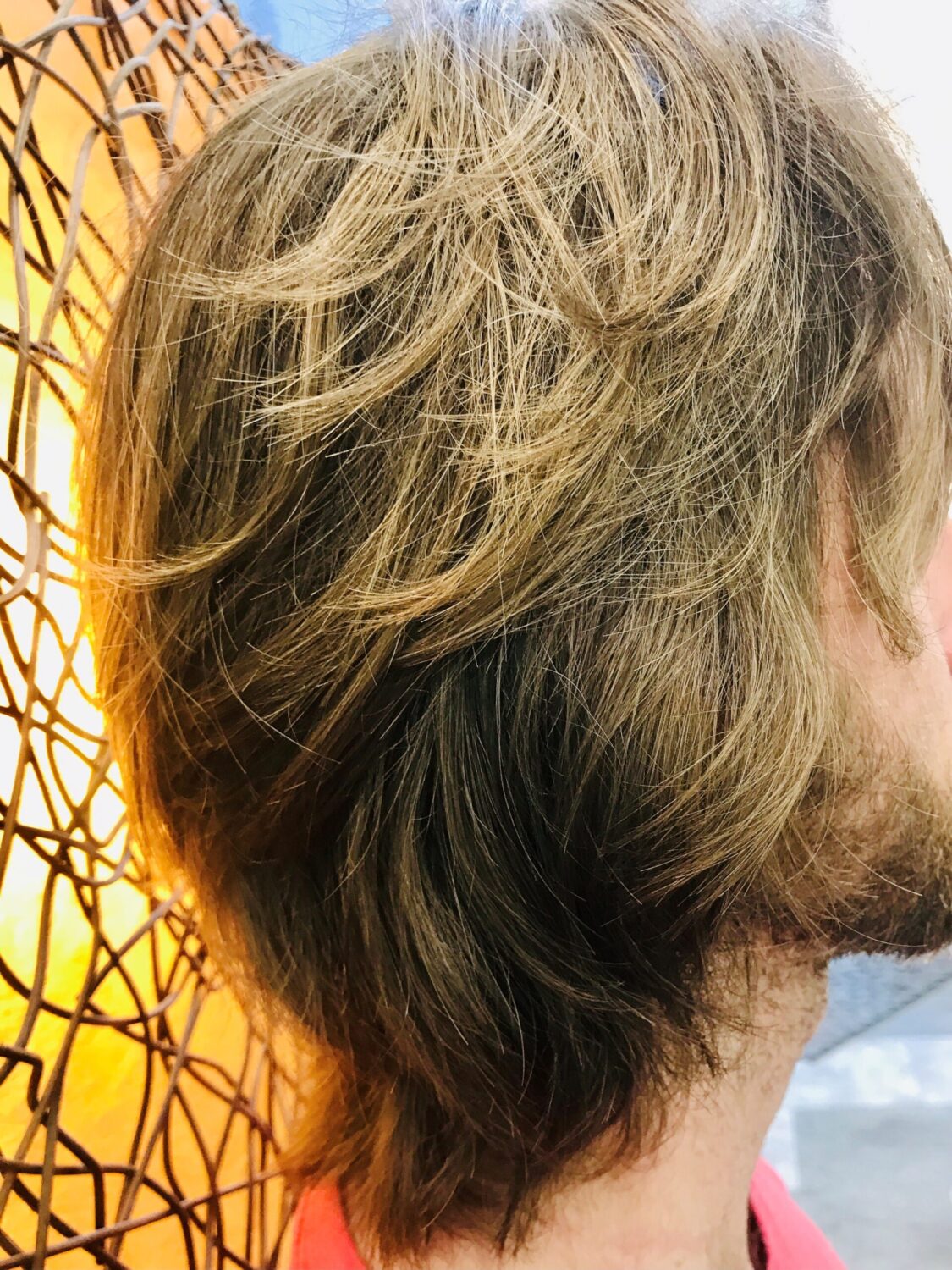 Hair Coloring Salon for Women & Men in Cincinnati OH at Hair Art Studio